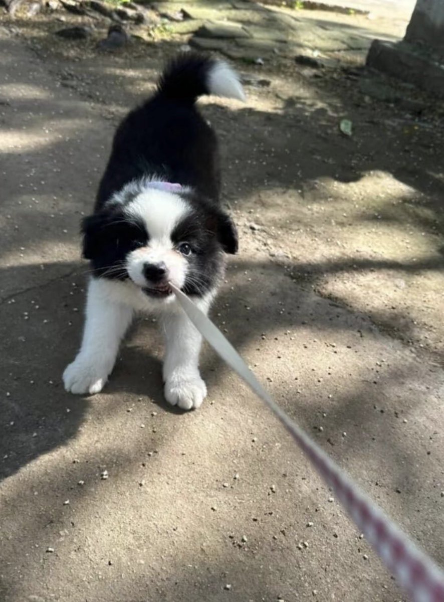 twaniimals's tweet image. 