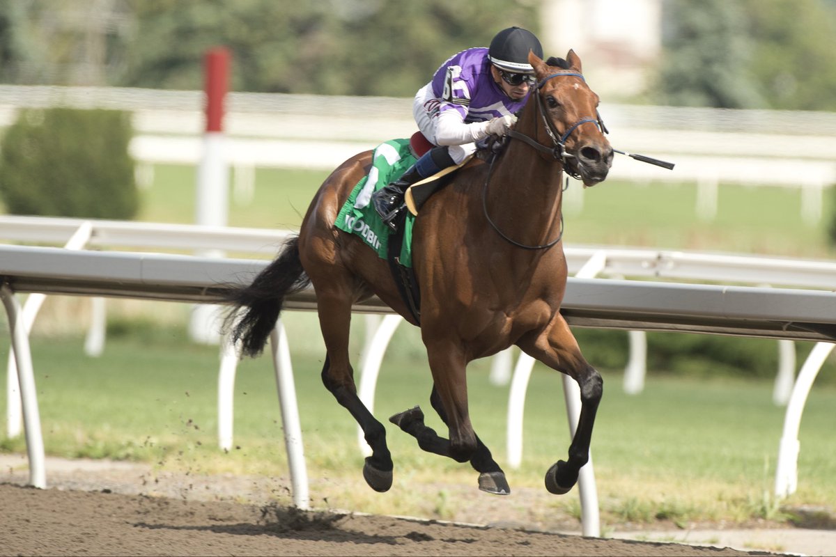 Stall applications for the 2026 <a href="/WoodbineTB/">Woodbine Racetrack</a> season are due by Monday, January 26.

Woodbine will offer $65 million in purses over the 128-day race meet!

🔗| Woodbine.com/horsepeople/st…