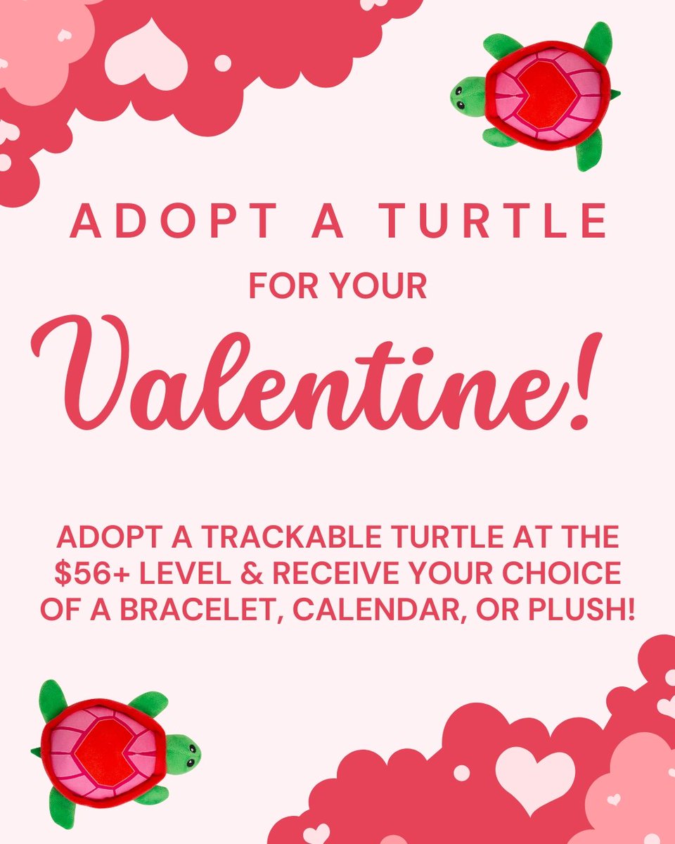 Want to be a turtle-y awesome Valentine? Adopt a sea turtle for your sweetheart! We'll send a personalized kit w/everything they need to track &amp; learn about their new sea turtle friend, plus your choice of a bracelet or plush if you adopt at the $56 level! conserveturtles.org/adopt-a-turtle/