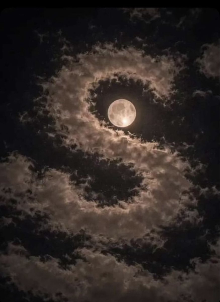 عاشت الاسامي .. والعود أحمدُ 🌷