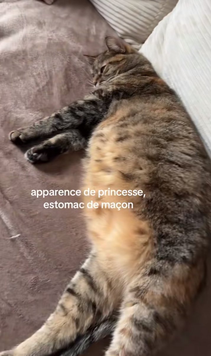 Le sourdingue tweet media