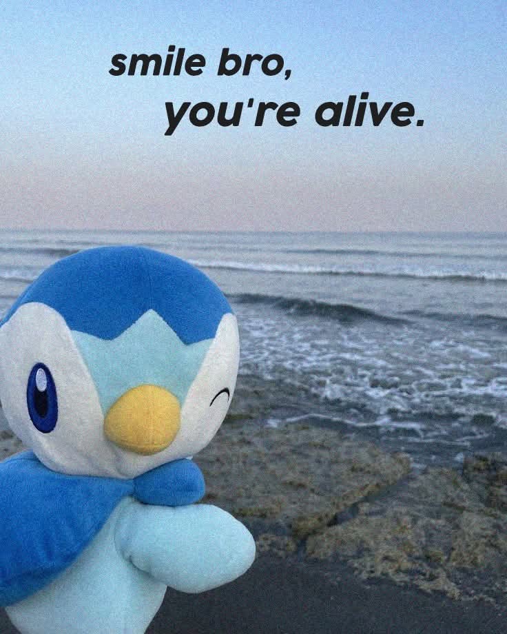 😉A message from Piplup
