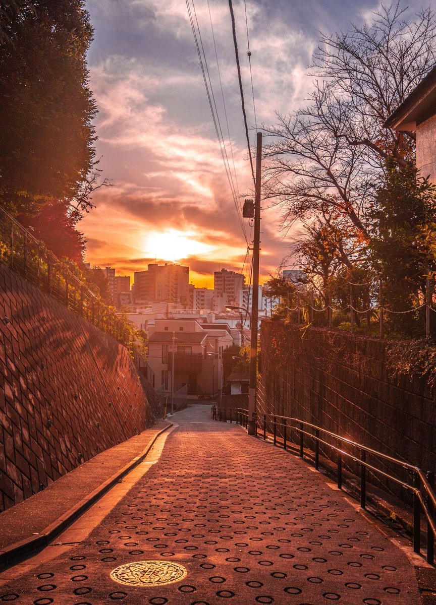 Offbeat9's tweet image. 新しいレストランに行ってみたい 🧛