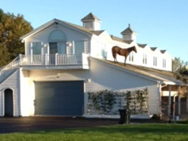 Sorry stream had some downtime yesterday, have added more comprehensive restart/refresh logic even though it usually catches everything.

Working on ironing out the details for some upcoming contests, will share updates soon! 🏇