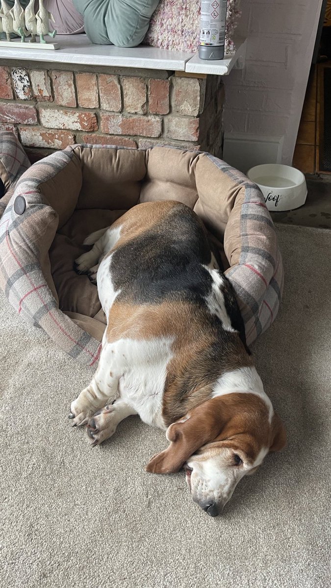 Phil Sledge tweet media