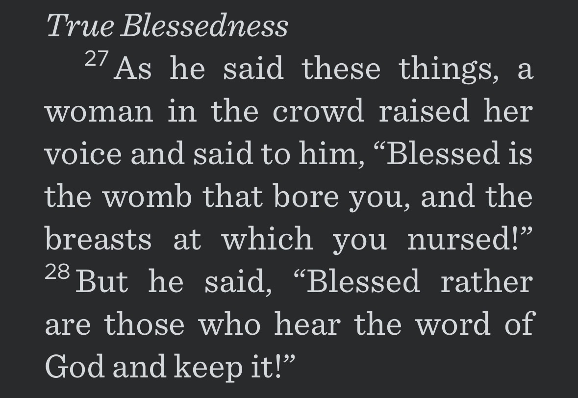 I think it’s worth noting that one of the earliest recordings of someone attempting to “venerate” Mary was met with a rebuke by Jesus.