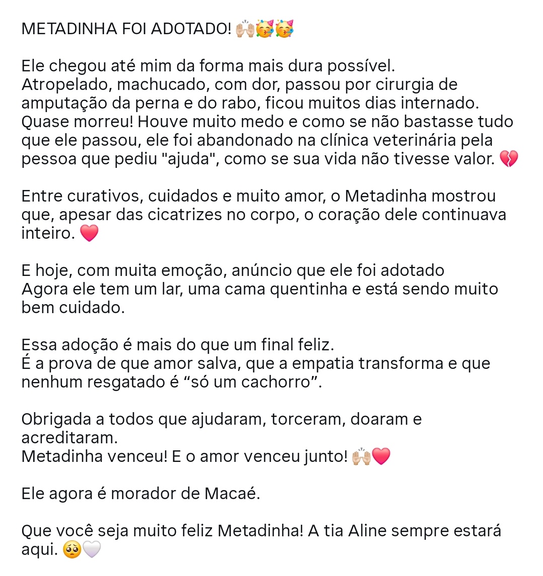 Amigos do Sonso (@amigosdosonso) on Twitter photo 