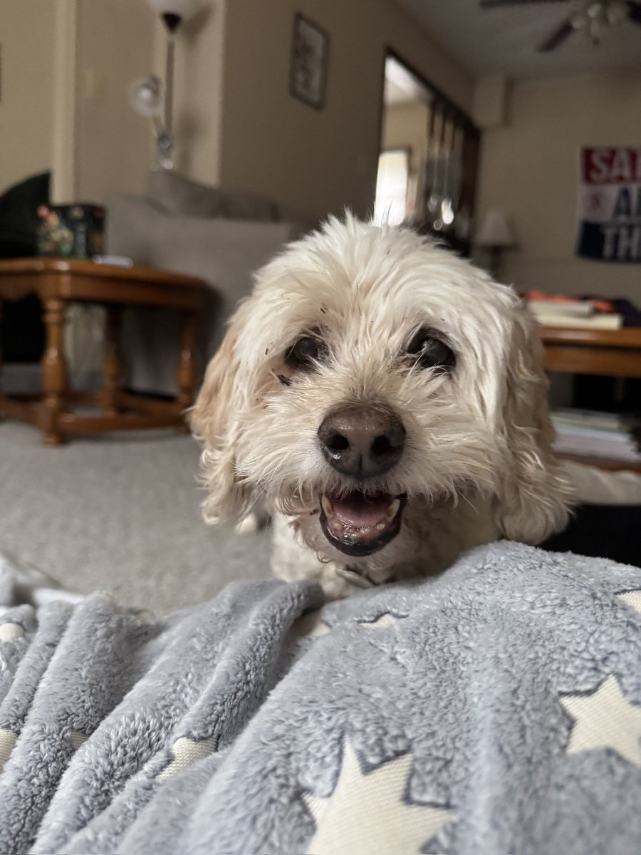 Heidi Jones tweet media