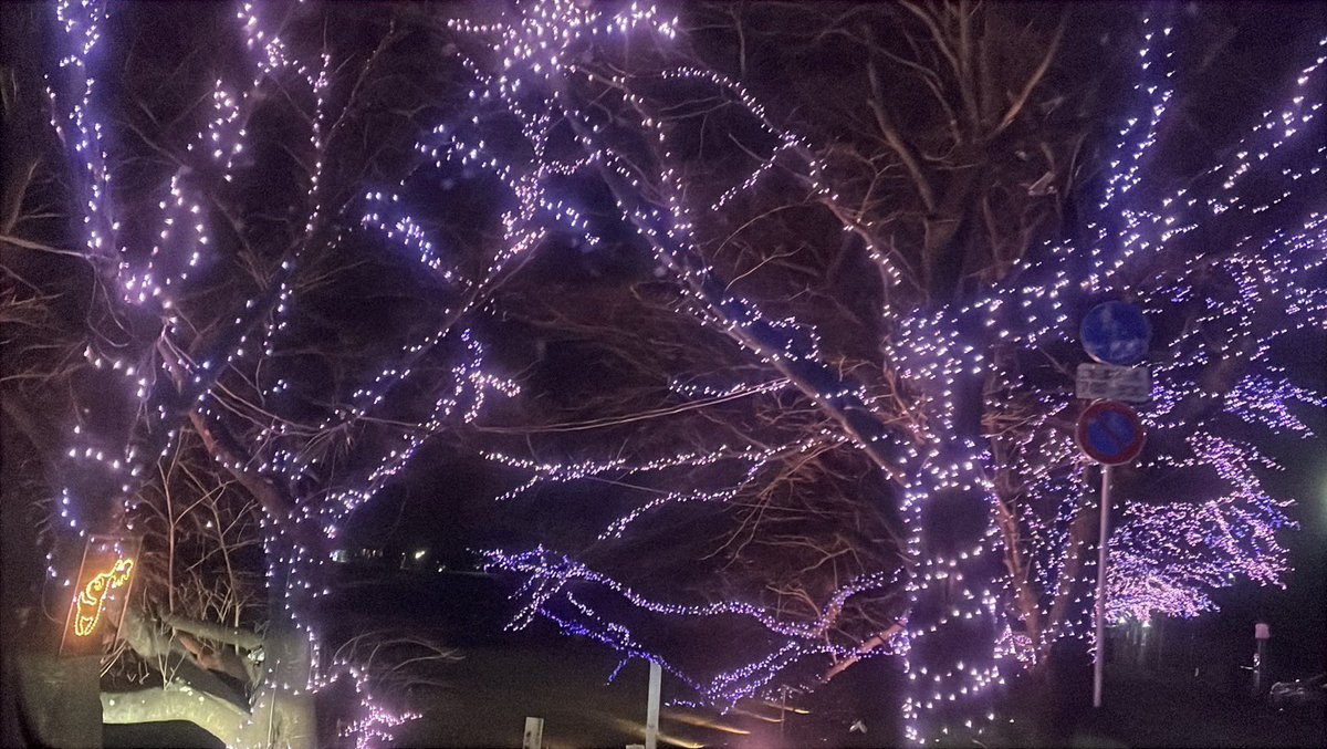 yaaaaaaton's tweet image. 大河原の千本桜イルミネーション、なかなか綺麗だった🌸弘前も真似せい