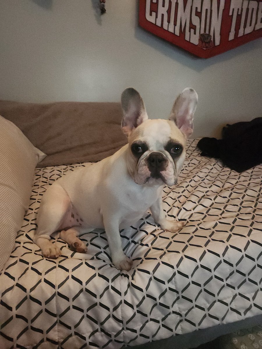 Doug Fergel tweet media