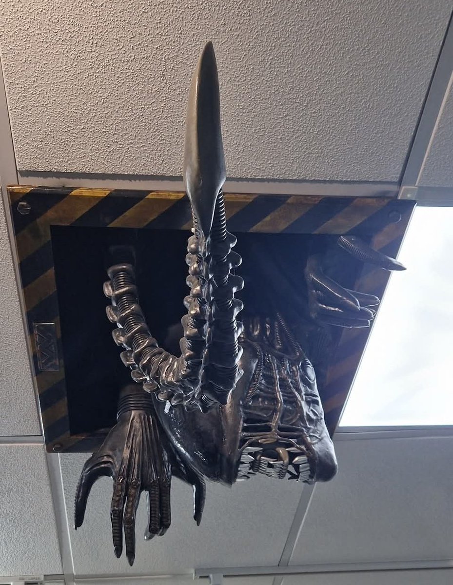 AvPOdysseyDB's tweet image. I need this for my ceiling