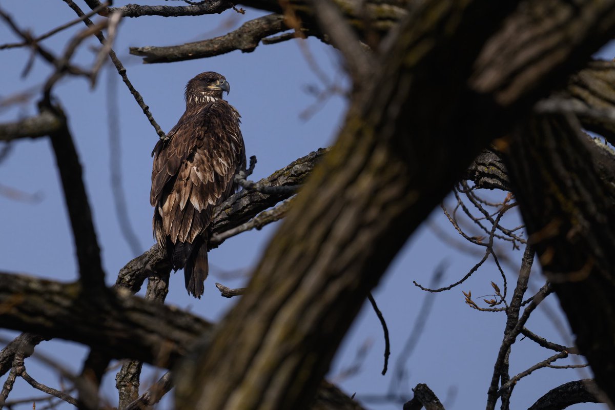 Jon Thaler tweet media