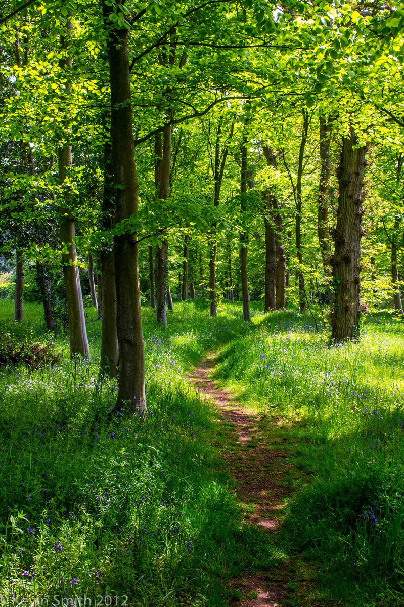 RExmla's tweet image. 今日は一日雨で外出する気になれない 😭