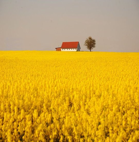 RfTransp's tweet image. バス停で偶然会った高校時代の友人と、2時間も立ち話をしてしまった 🧕