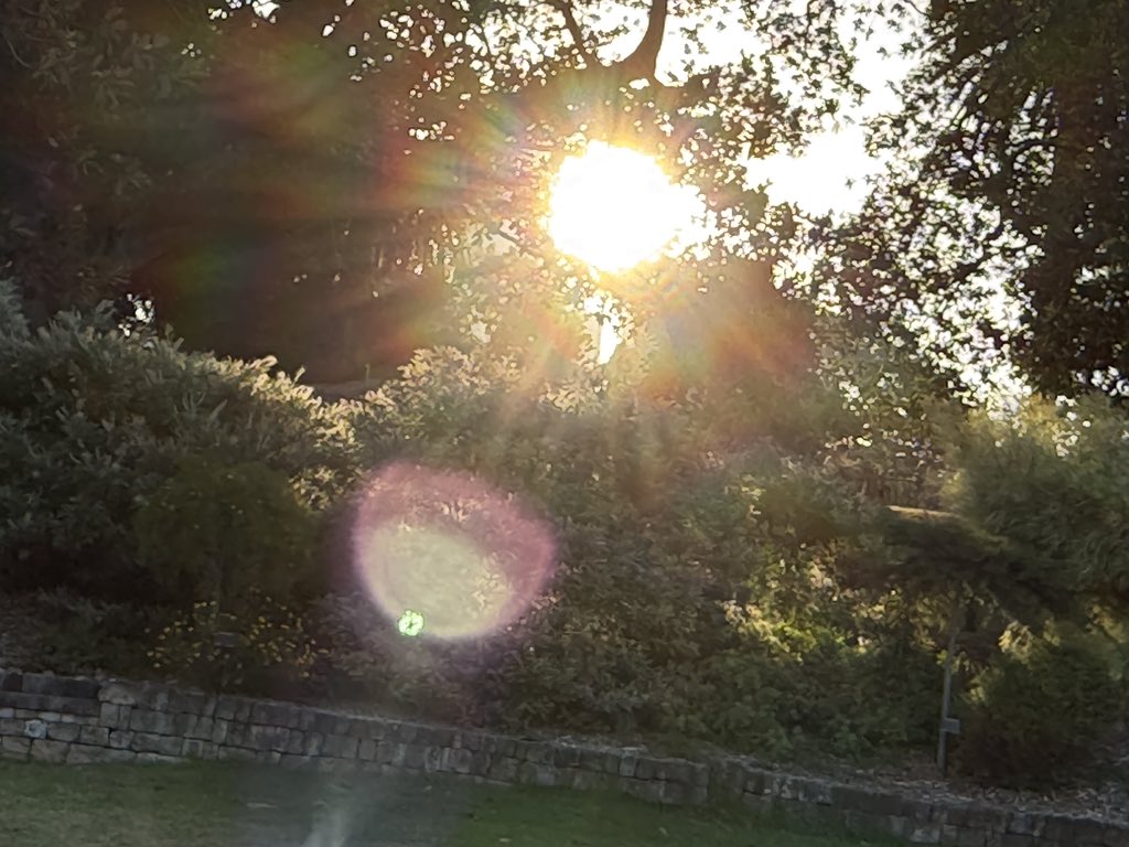 palmiecat's tweet image. I’m alive btw I’m just touching grass kinda (I’m at an esports tournament LMAO)