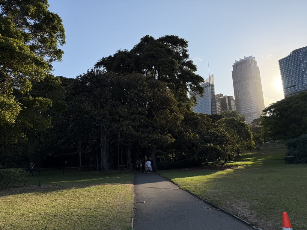 palmiecat's tweet image. I’m alive btw I’m just touching grass kinda (I’m at an esports tournament LMAO)