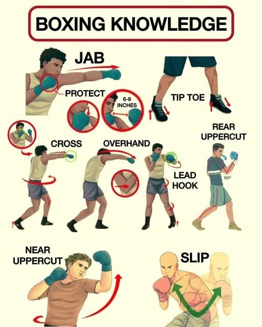 SurvivalInstint's tweet photo. Boxing Anatomy / Every man once in his life must be warrior of his soul https://t.co/H32sbDnIt6