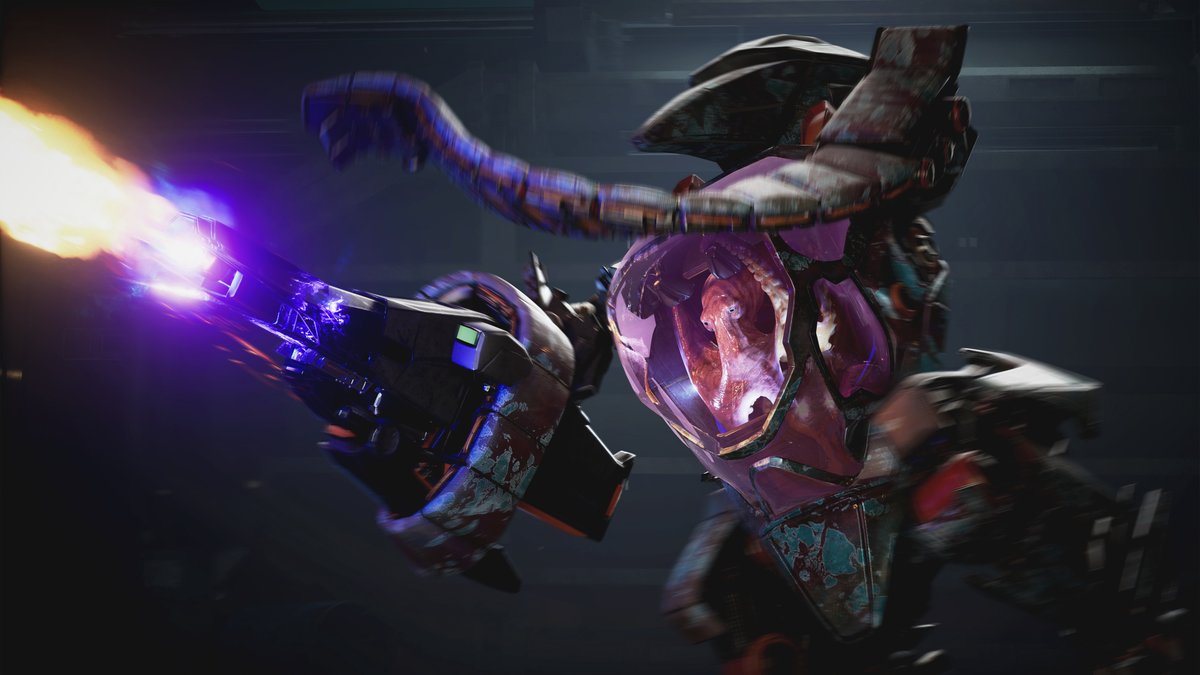 Kala Elizabeth tweet media