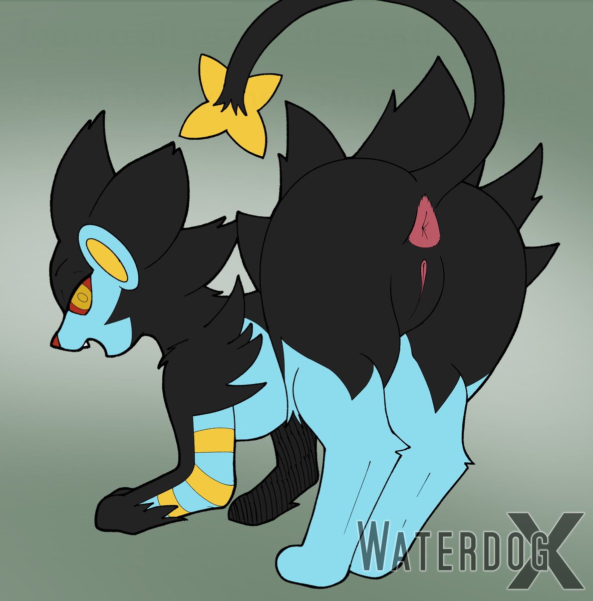 Waterdogx but 🔞 tweet media