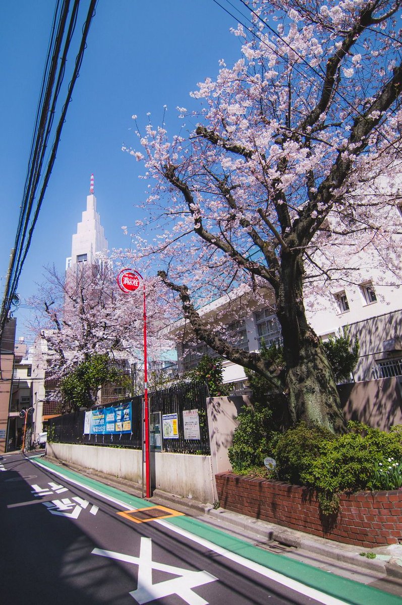 Redgrave95's tweet image. 風邪で3日間寝込んでしまった
体力の衰えを感じる 👩‍👩‍👧‍👧