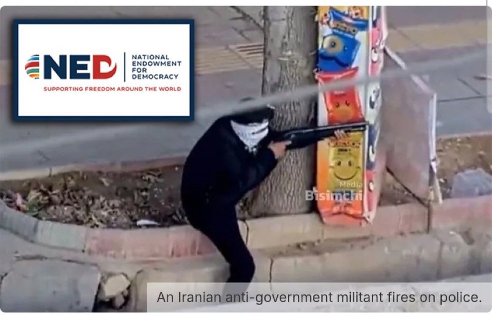 AdameMedia's tweet image. Zionists expect you to believe this was an “innocent peace protestor who did nothing wrong 🥺”