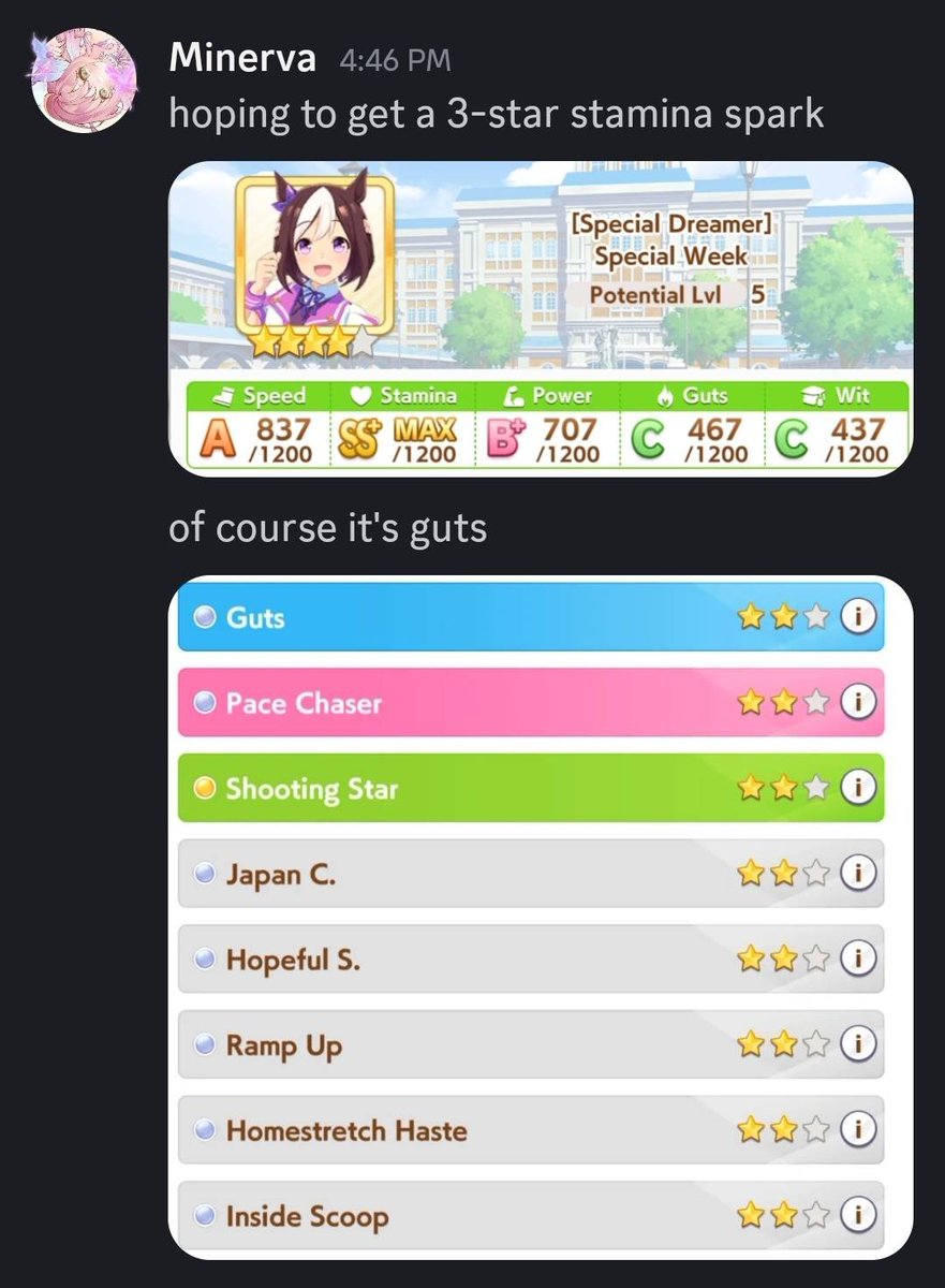 the umamusume experience