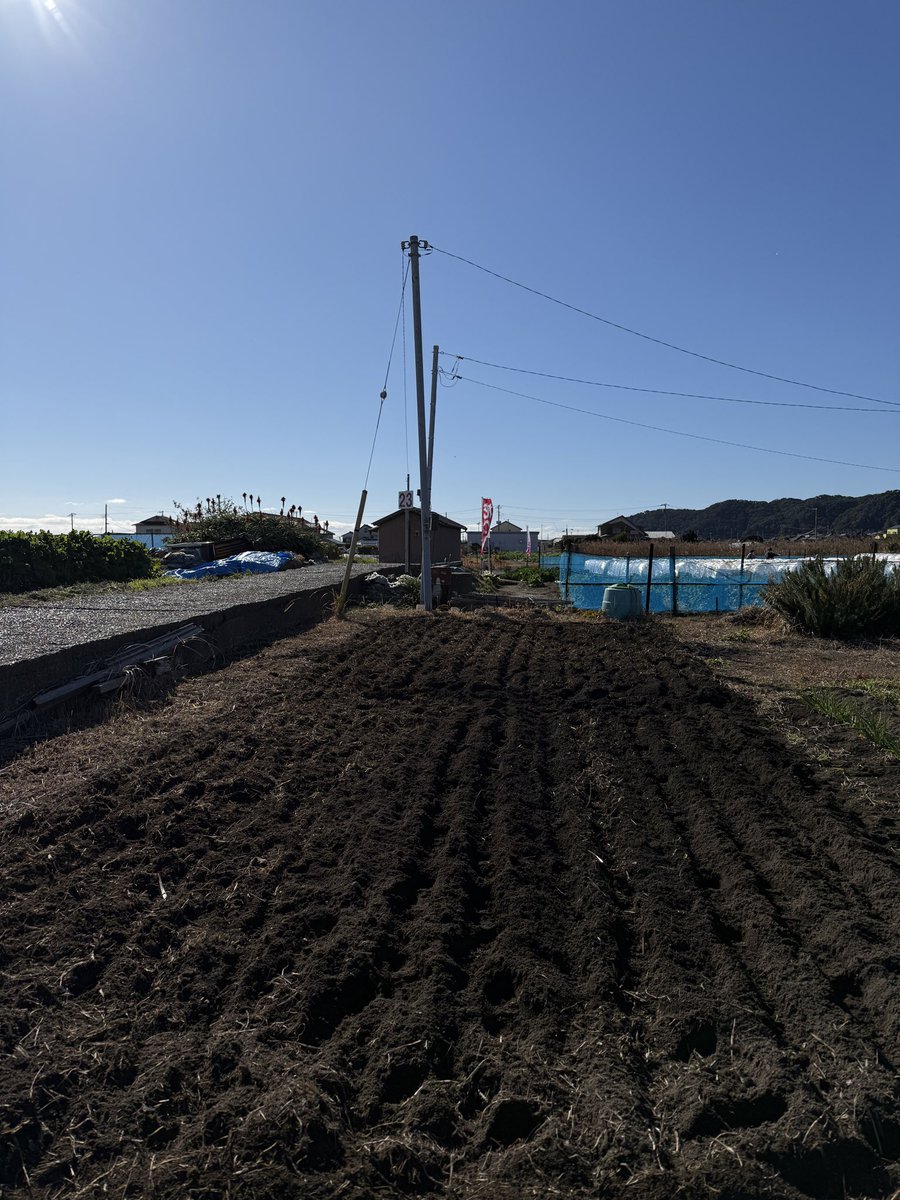 おはようございます　月曜日は千倉の畑に行ってきました

今日からお仕事です今週もよろしくお願いします