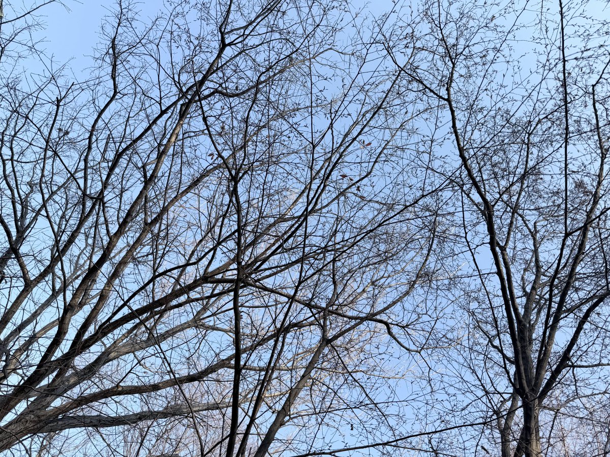 sato_thinking's tweet image. 自分と向き合い、内側で対話を重ねる。

それが「考える」という行為だ。答えを外に探すのではなく、自分の中に問いを投げかけ続けることで、納得のいく判断が生まれる。

おはようございます。
今日も良い一日をお過ごしください！