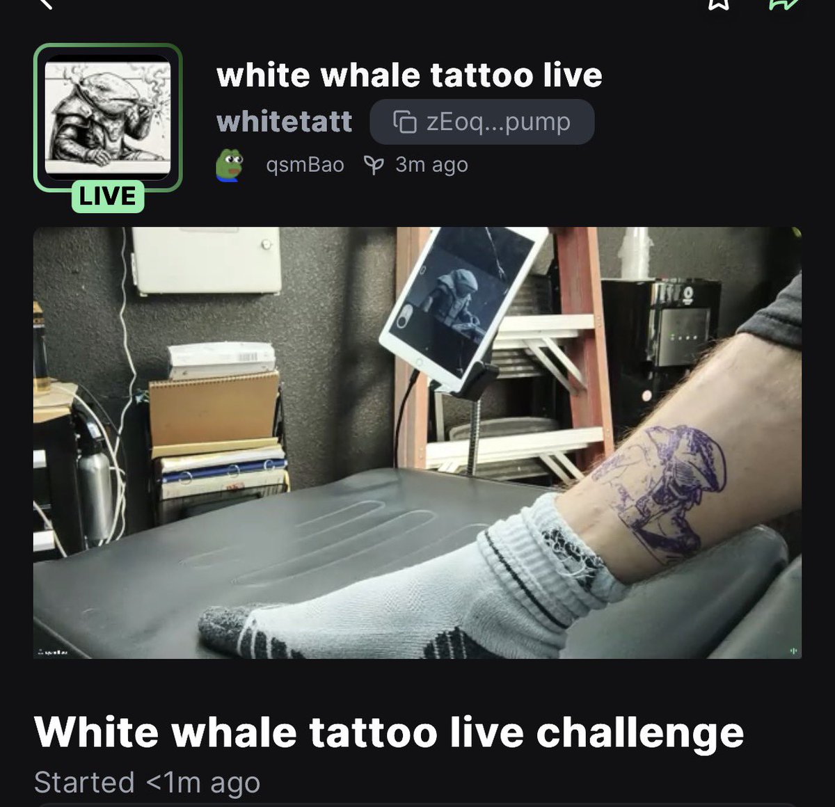 pizdetezblyat's tweet photo. Hey @WhiteWhaleMeme @TheWhiteWhaleV2 I’m sticking to my word. zEoq4dmDDwQYvmso87M5qRRZ2Kvo553fMH4aoqFpump https://t.co/Xy46NkDTBo