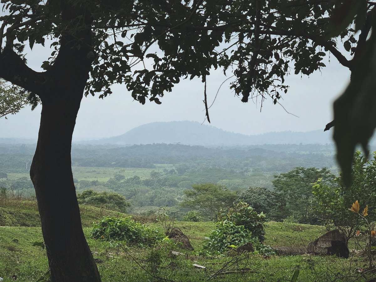 Luke Caverns tweet media