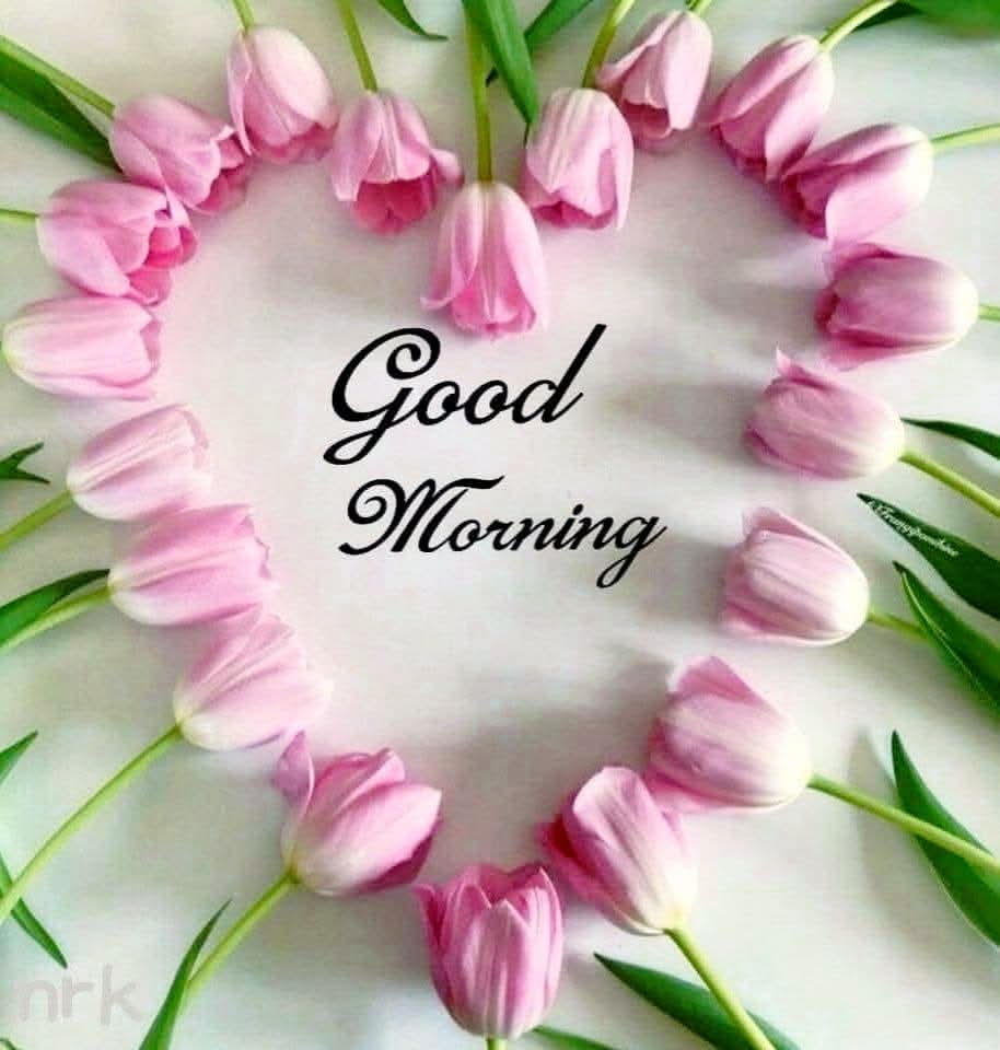 Шинэ өдрийн мэнд хүргэе♡

Өдөр бүхэн тань гайхамшиг , аз жаргал , хайр энэрэл болон билиг ухаанаар бялхаж байг🙏

Өдөр бүр 21:00-22:00 Дэлхий нийтийн алтан бясалгал, залбирлын цаг дор нэгдээрэй♡