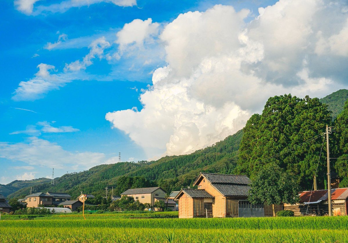 RobinsonPhoto's tweet image. 友人からのLINEに既読をつけたまま3日経過
返事を考えすぎて逆に送れなくなった 🥕