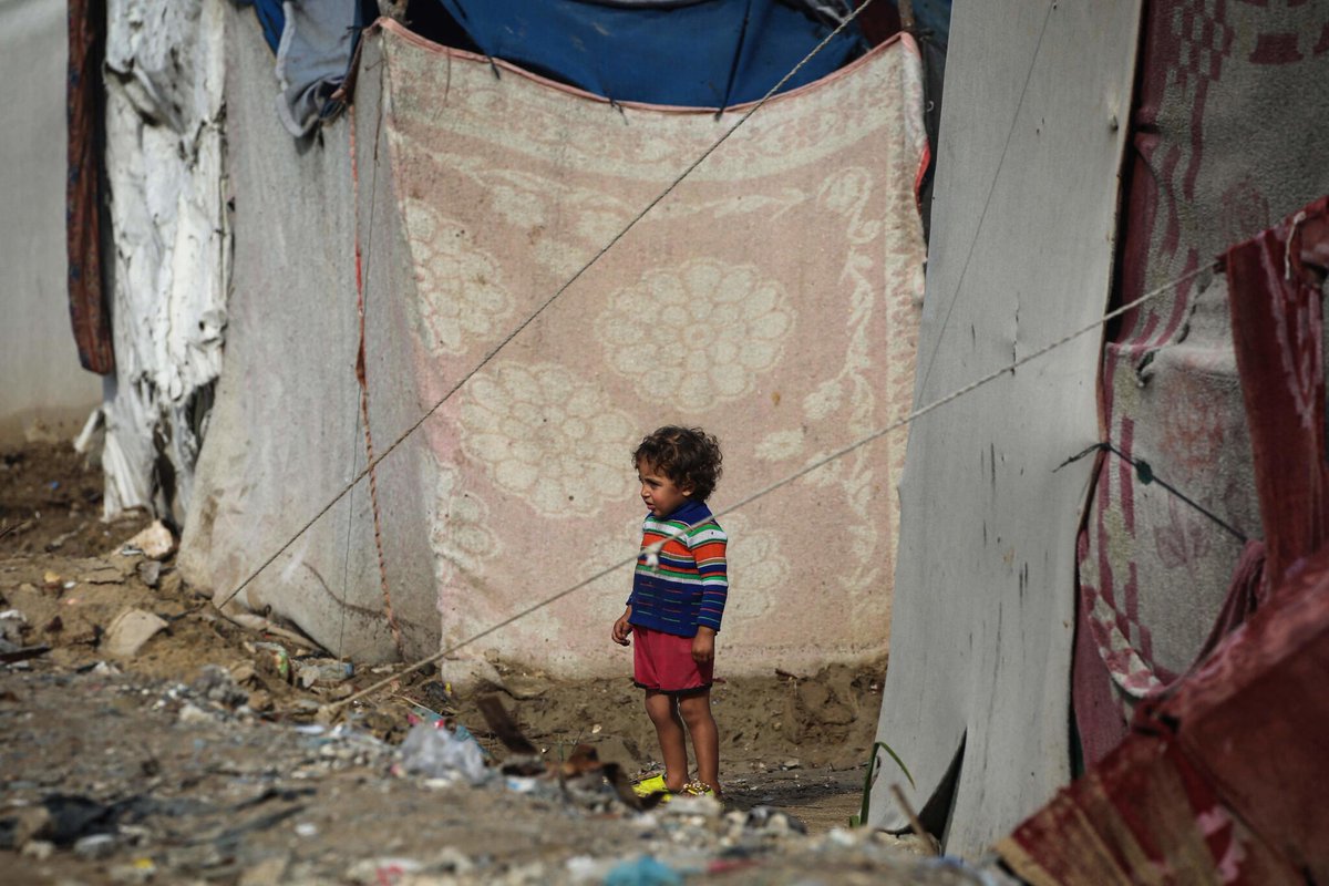 À Gaza, au moins 100 enfants tués par des « frappes aériennes » ou des « tirs » depuis le cessez-le-feu, selon l’Unicef
➡️ l.leparisien.fr/u9Pe