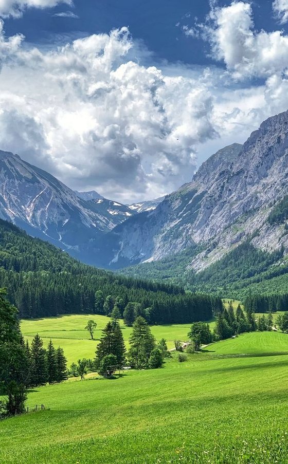 WebsterPower's tweet image. 電車内でお年寄りに席を譲った 😵