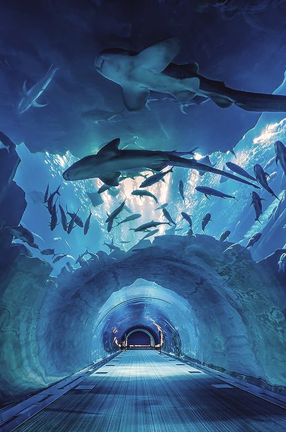 romulosoua's tweet image. コンビニの店員さんに笑顔で挨拶されて嬉しい 👩‍👩‍👦‍👦