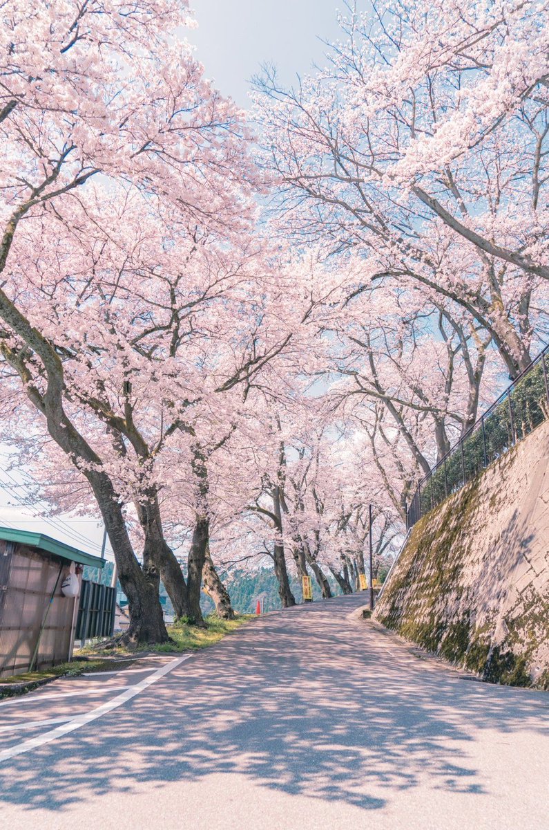 ruffuls_'s tweet image. アルバイト先で客に怒鳴られて帰りたくなった
理不尽すぎて泣きそう 👩‍👧