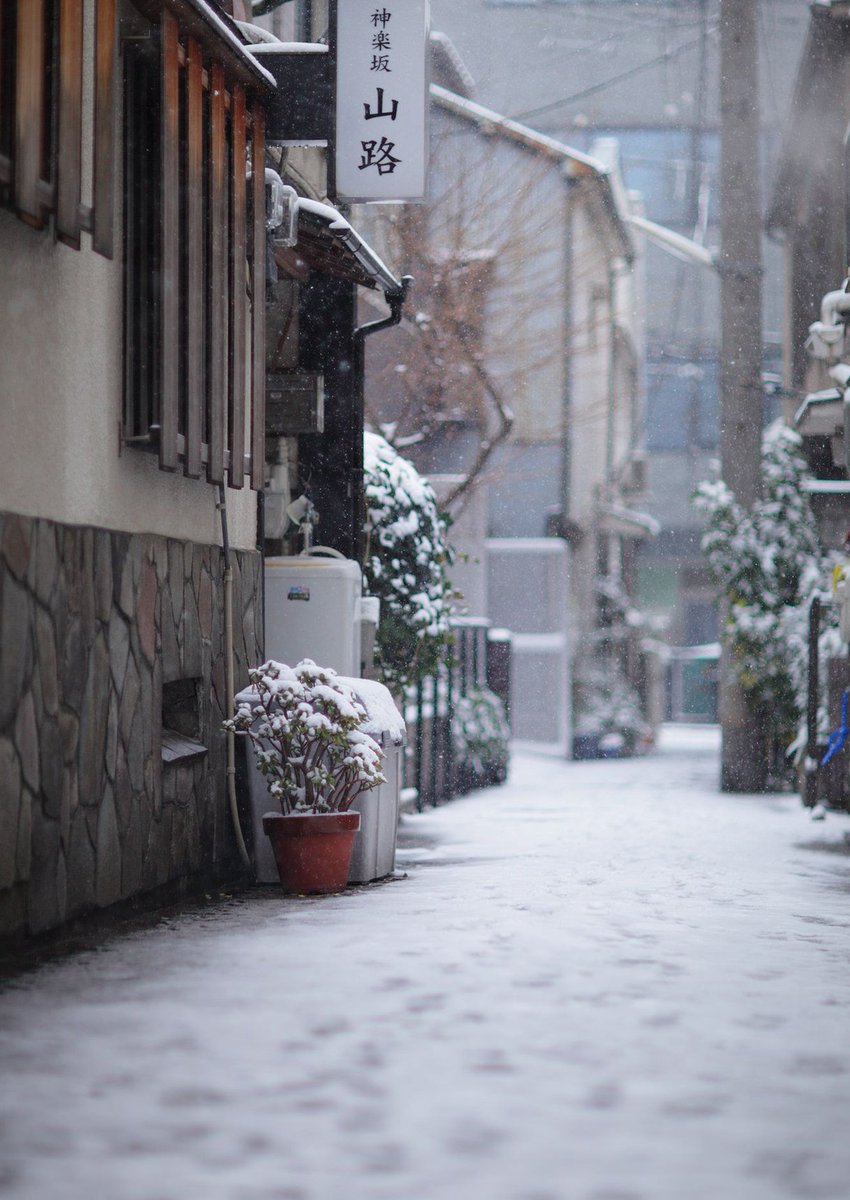 jeevan_bp's tweet image. コンビニの新商品のお弁当を試してみたら意外においしくて当たりだった 🥳