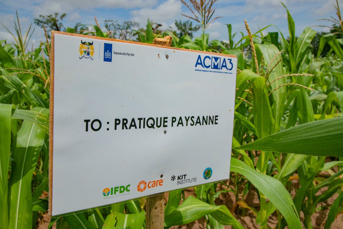 IFDC North and West Africa (ARCHIVED) tweet media