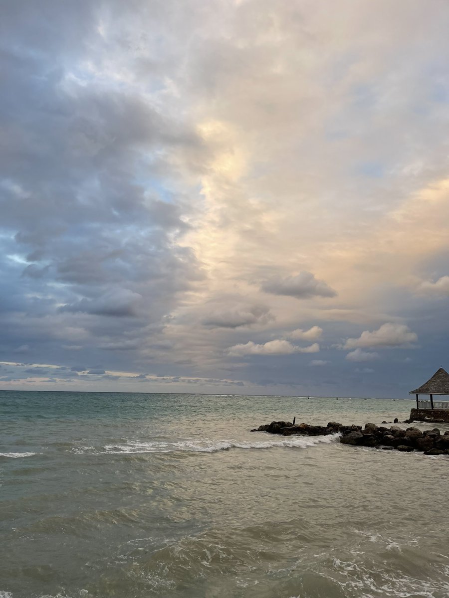 paulatoro7's tweet image. The Road to Zion 🦁
En camino a una tierra muy espiritual🙌🏼✨