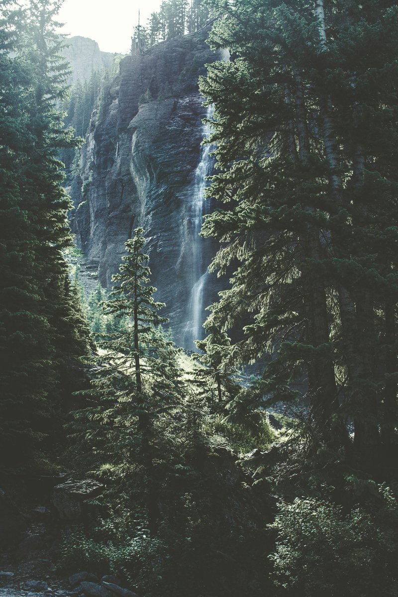 earthcurated's tweet photo. Yosemite Valley 🍃 https://t.co/YjVWlqBXky