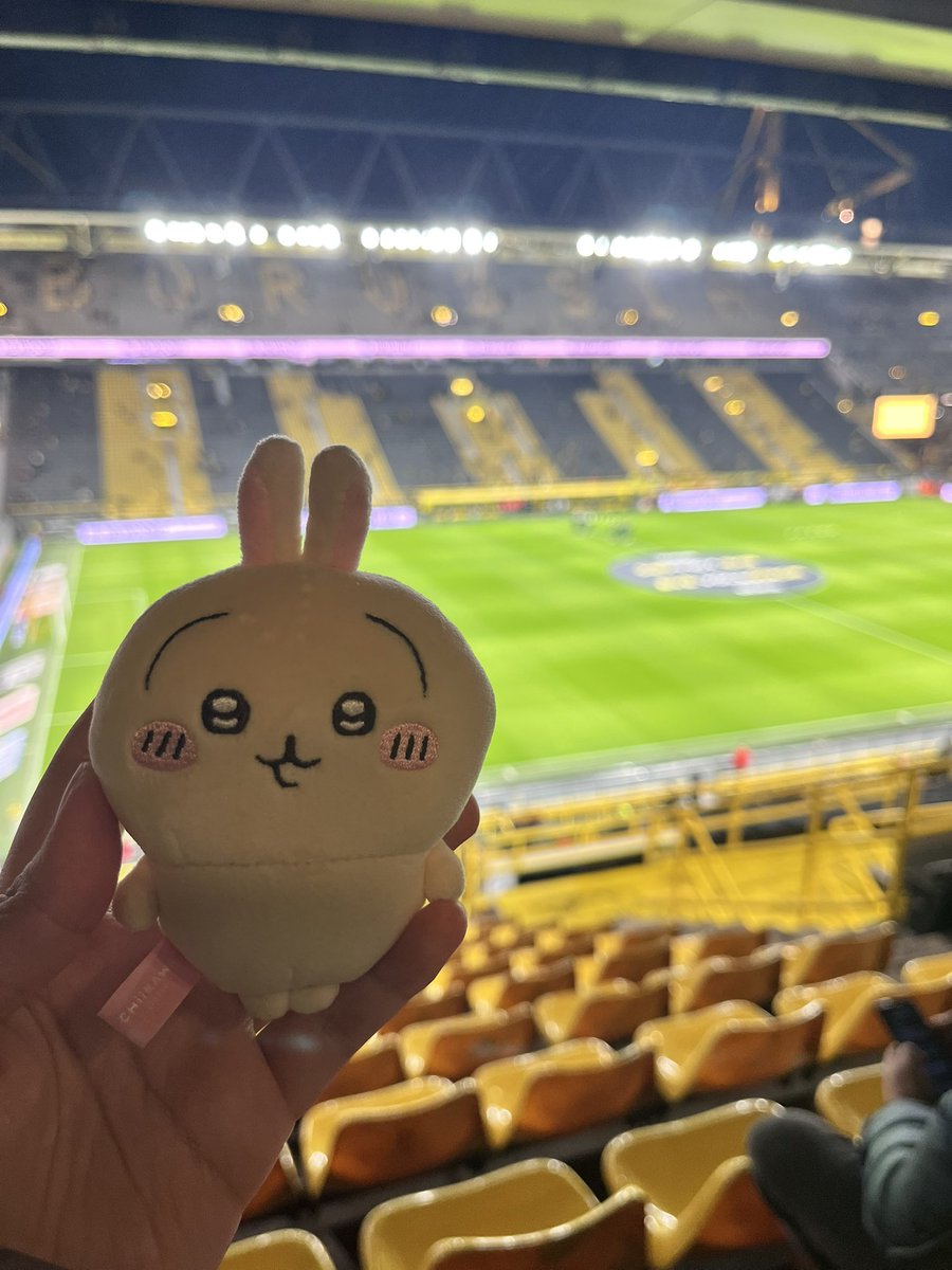 halcyyn's tweet image. Brought usagi to watch kovac ball