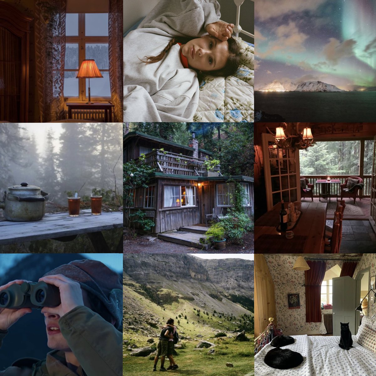 elmaxers's tweet image. mileven iceland diaries pt2 but it’s their cabin