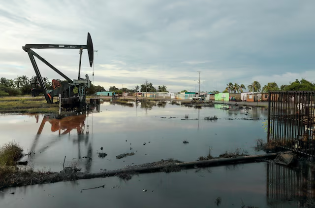 OilcoinUSD1 tweet media