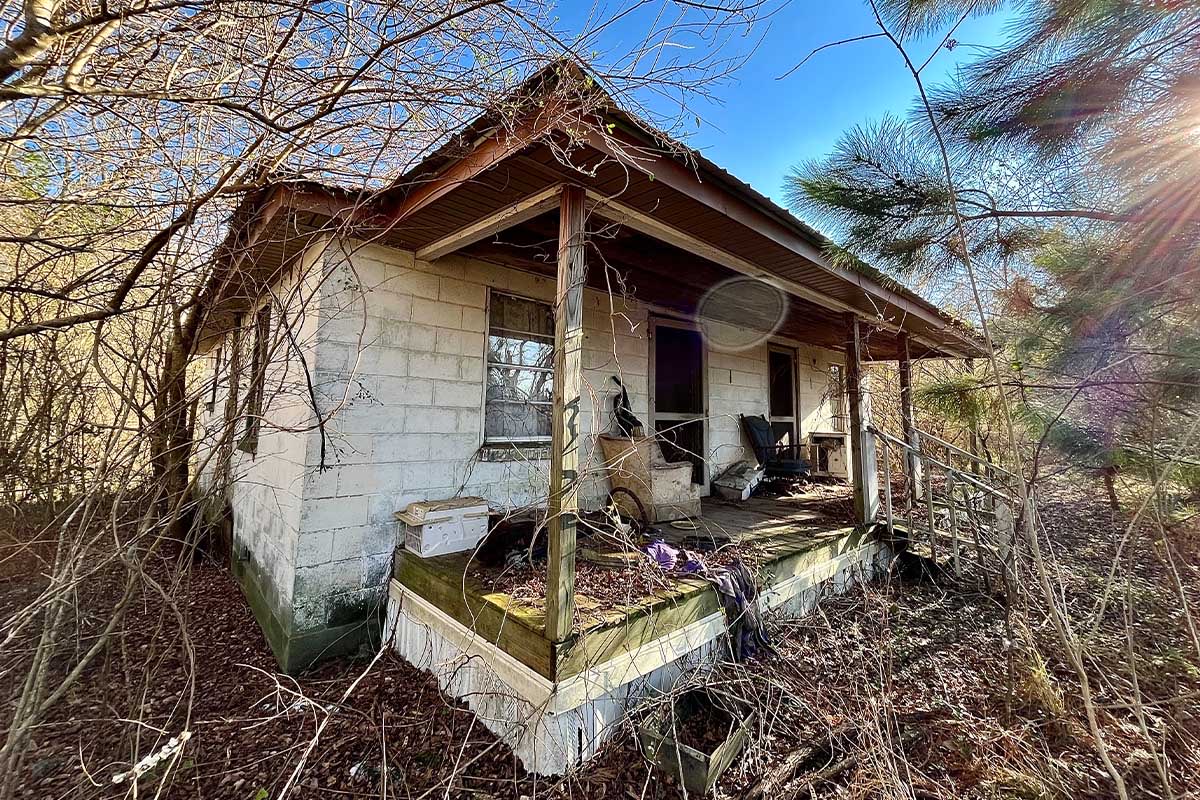 DudeFella 🇺🇸🇺🇦 tweet media