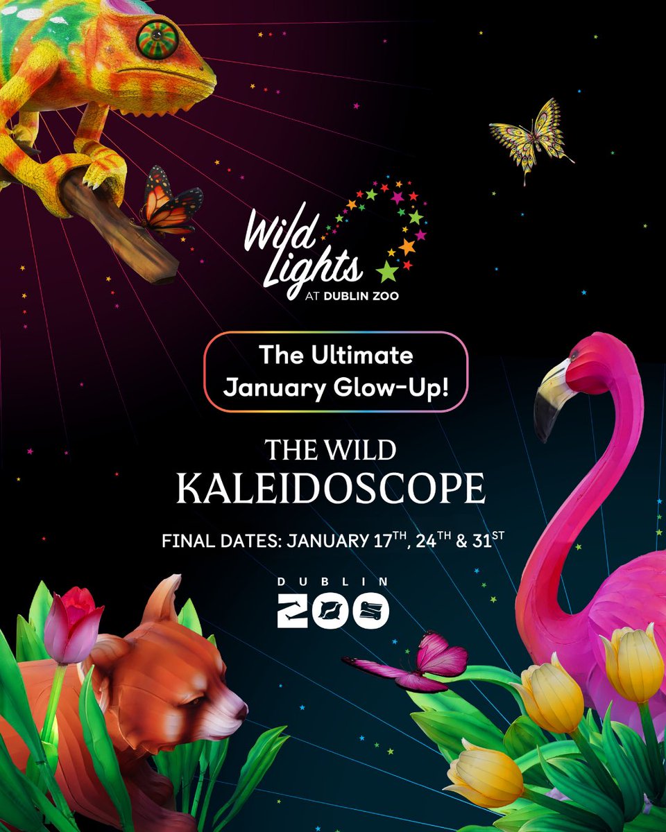 Dublin Zoo tweet media