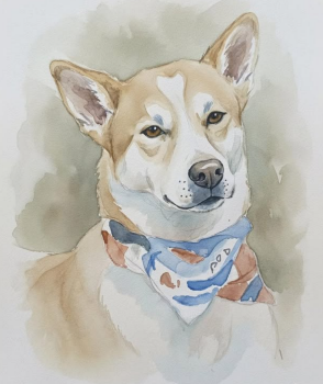 Animals #love and too frequently forgive humans for unspeakable treatment towards them. Their world revolves around us, but our world would be better if we learned to love like them.  

#AlokaThePeaceDog #Peace #PeaceWalk #DogsLover  
#आलोक