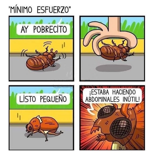 Ana_LaPatata tweet media