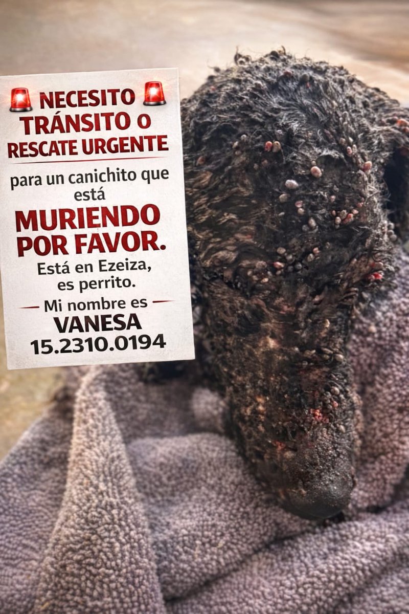 Rt
Ayuda urgente!!
Hace falta llegar a esto?