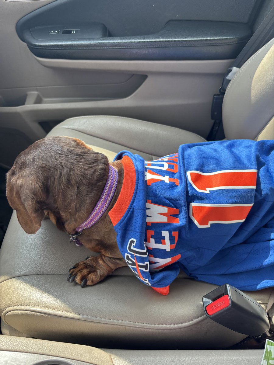 Mikey CoinSnatch  tweet media