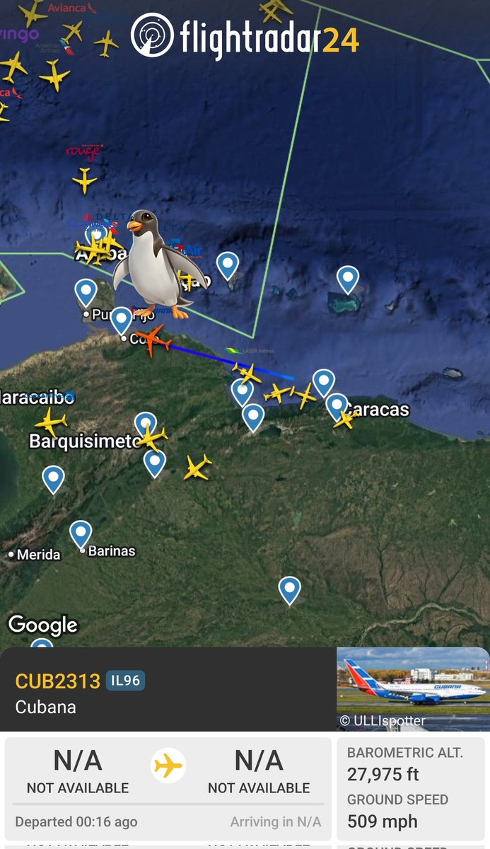 Desde la isla del terror enviaron a buscar la basura que tenían en Venezuela .
Se la enviamos empacada y en trozos